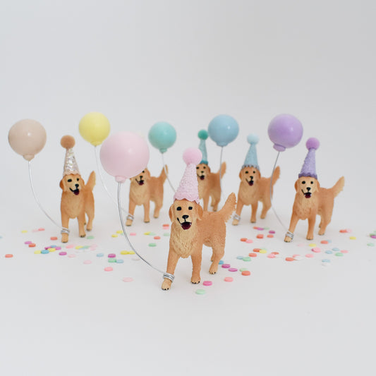 golden retriever with party and balloon